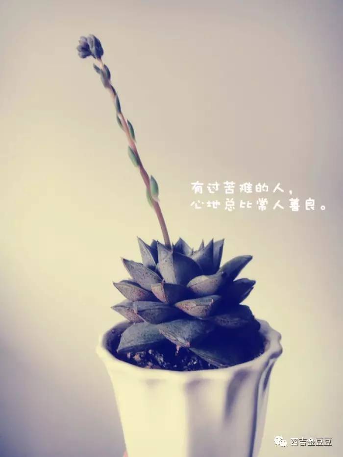 赛车飞艇pk10大群_美女二维码
