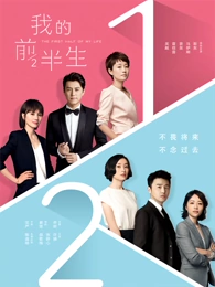 全能影视悬疑剧雾港迷踪海报