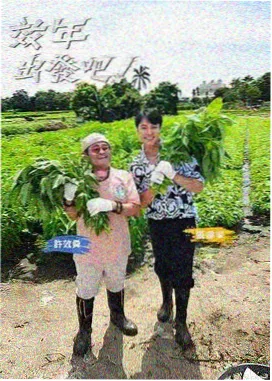 蘑菇视频在线观看综艺《厨房漂流记》