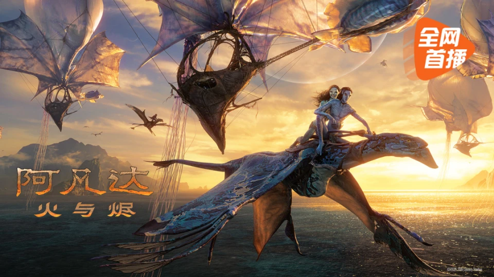 电影在线免费观看今日主推影片《雾港夜航》超清封面