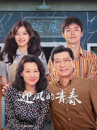 恋慕韩剧海报