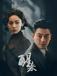 月亮影视大全推荐《双城日记》海报