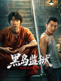 星辰视频年代情感剧《白塔之下》海报
