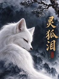 星辰视频治愈番剧《纸鸢计划》海报